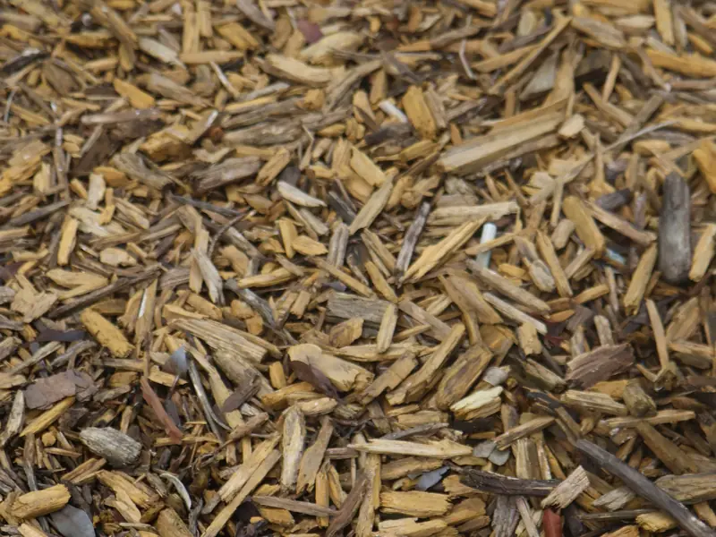 Close-up of a layer of wood chips used as mulch